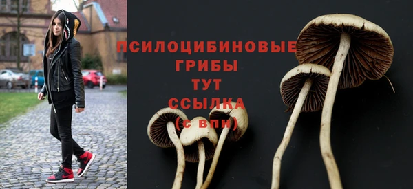 гидропоника Иннополис