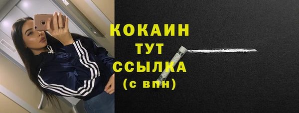 прущая мука Инта