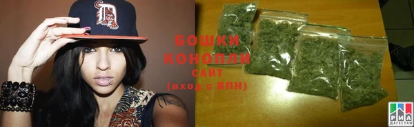 гидропоника Иннополис