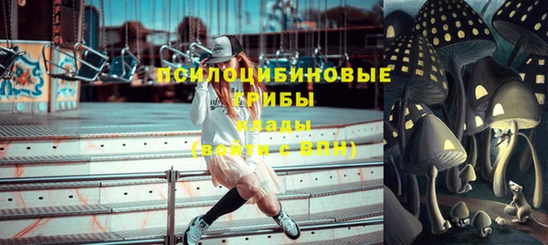 гидропоника Иннополис